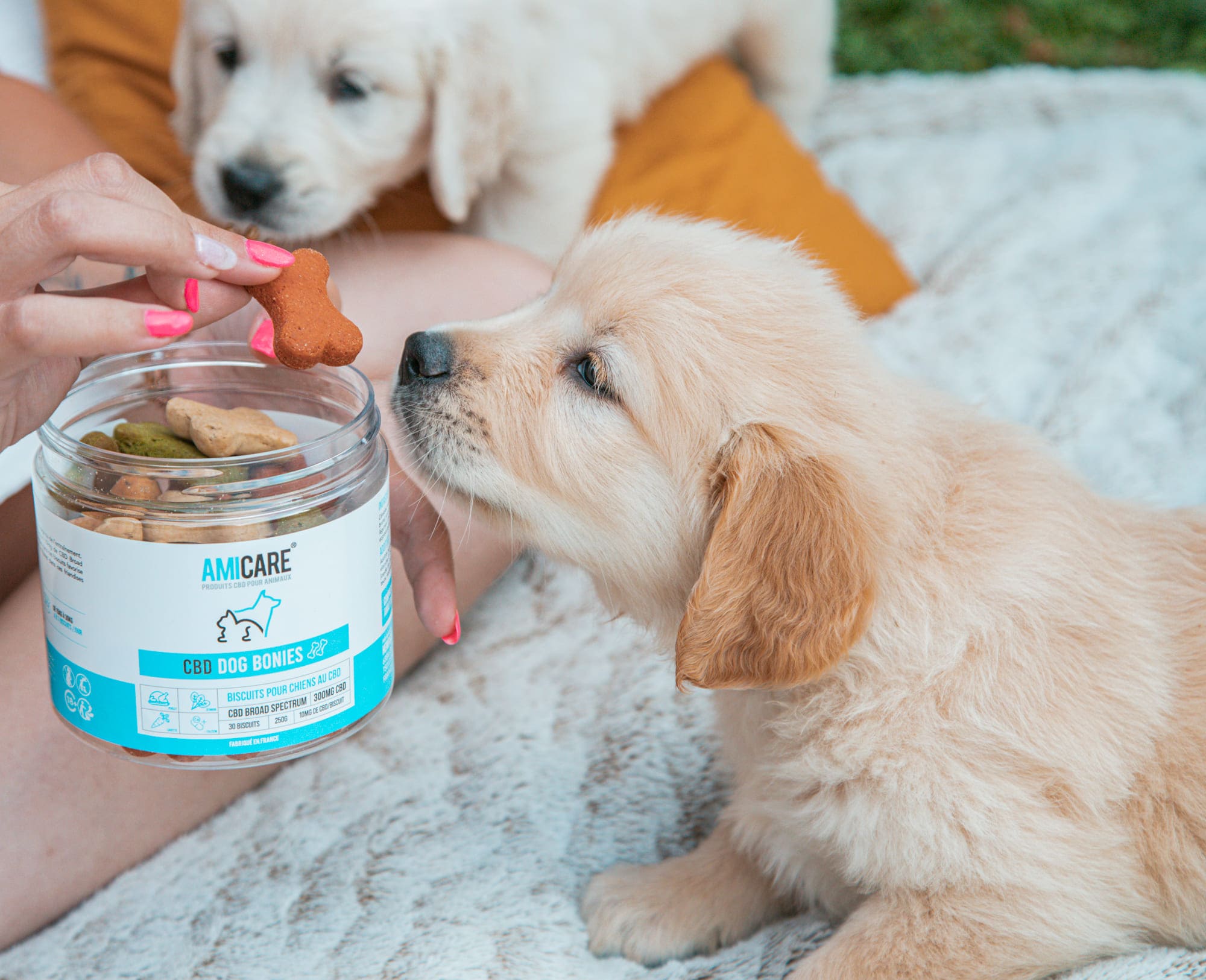 CBD & animaux
